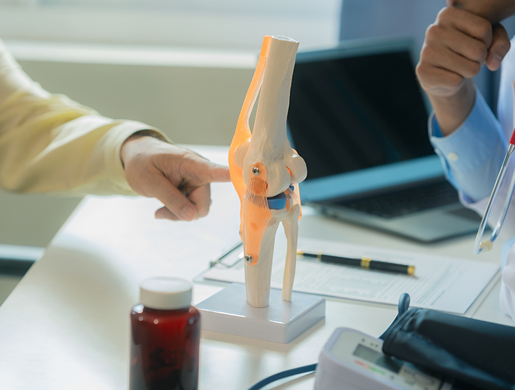 Patient pointing to a knee model during a consultation with an orthopaedic doctor