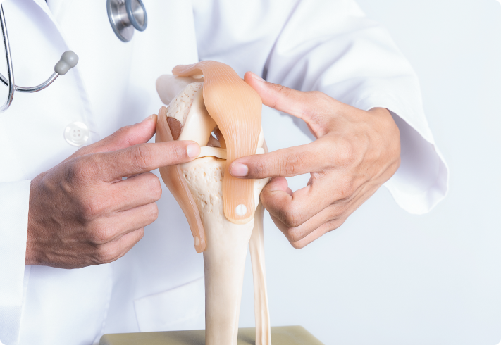 Frequently Asked Questions