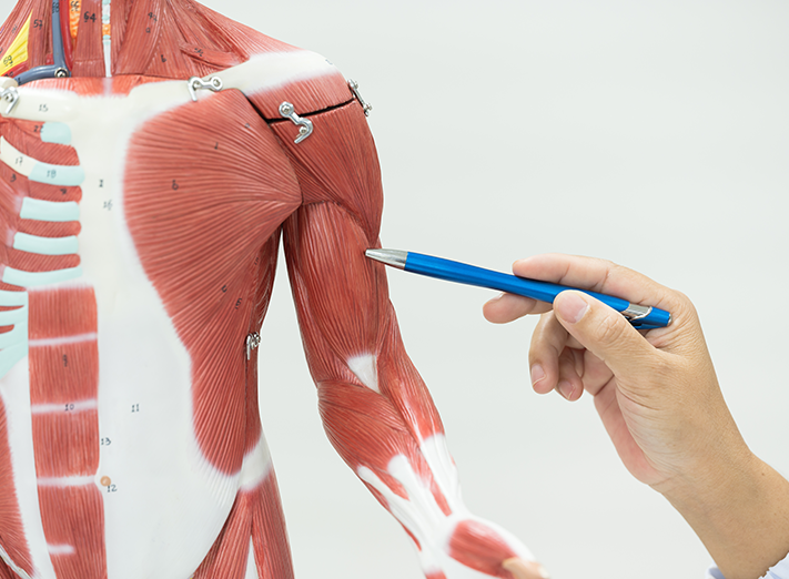 Frequently Asked Questions