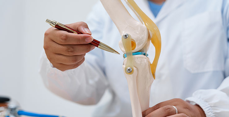 Knee examination