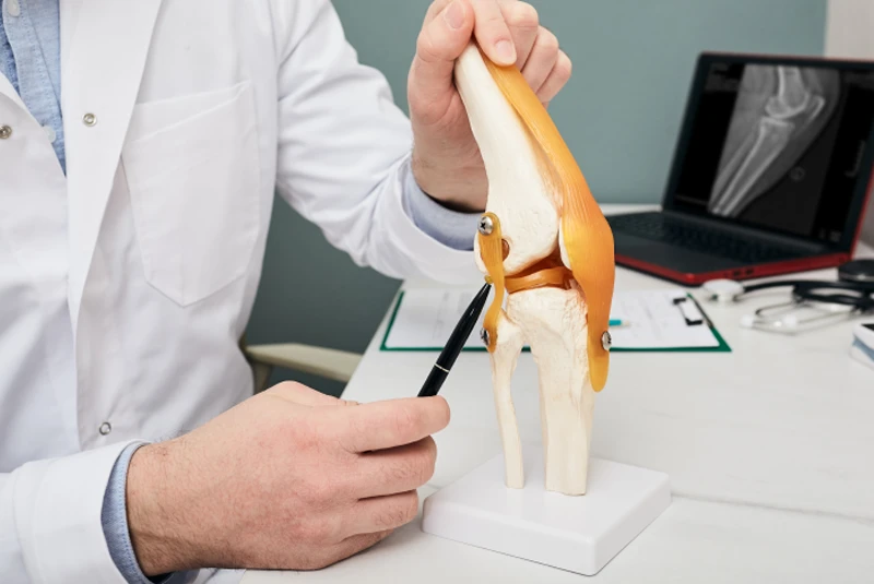 Doctor pointing to a model of the knee.